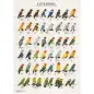 Poster Agapornis 2 lovebirds 2 Van Keulen