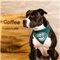 Bandana "Coffee Break" Bandana "Coffee Break"