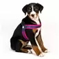 Peitoral Q-fit "Matrix Pink" Peitoral Q-fit "Matrix Pink"