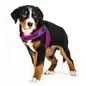 Peitoral Q-fit "Matrix Pink" Peitoral Q-fit "Matrix Pink"