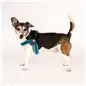 Peitoral Q-fit "Matrix Sky Blue" Peitoral Q-fit "Matrix Sky Blue"