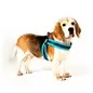 Peitoral Q-fit "Matrix Sky Blue" Peitoral Q-fit "Matrix Sky Blue"