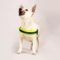 Peitoral Q-fit "Matrix Yellow" Peitoral Q-fit "Matrix Yellow"