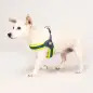 Peitoral Q-fit "Matrix Yellow" Peitoral Q-fit "Matrix Yellow"