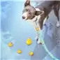 Trela "Ducklings" Trela "Ducklings"