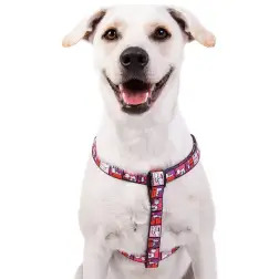 Peitoral Rosa/Frames Snoopy - XS - Circunf. Barriga: 27-38cm - 1040180763