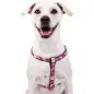 Peitoral Rosa/Frames Snoopy