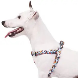 Peitoral ZigZag Snoopy - XS - Circunf. Barriga: 27-38cm - 1040180767