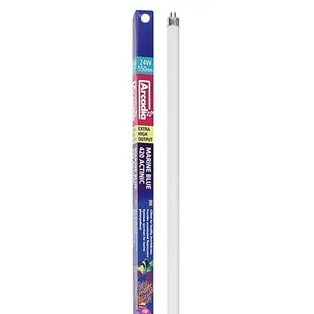 Lampada Fluor. T5 - Blue Actinic 24w-55cm Arcadia - 1040100499