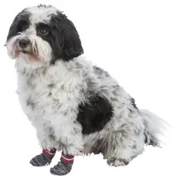 Meias para Cão - M-L - 1040240018