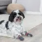 Meias para Cão