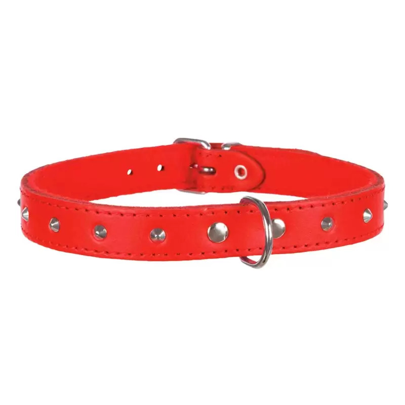 Coleira em Pele Cravos Basic para Cão
