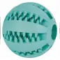 Dentafun Borracha - Bola Basebol C/ Menta 5 Cm Trixie