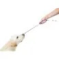 Target Stick Clicker para Treino de Animais Trixie Target Stick Clicker para Treino de Animais Trixie