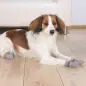 Meias para Cão Cinza Trixie Meias para Cão Cinza Trixie