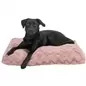 Colchao "vital Loki" 60x45 Cm rosa Trixie