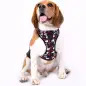 Colete Peitoral "Mesh" Snoopy