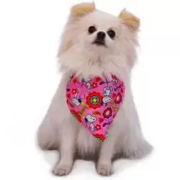 Bandana Snoopy Rosa/Flores L Snoopy - 1040240442