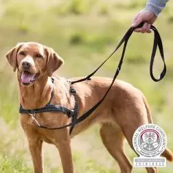 Peitoral de Treino "Lead"n"Walk Soft" - 45-70cm/25mm - 1040220501
