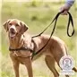 Peitoral de Treino "Lead"n"Walk Soft" Peitoral de Treino "Lead"n"Walk Soft"