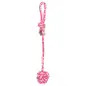 Corda Com Bola 7 Cm / 50 Cm Trixie