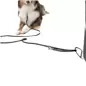 Placa Drive-on P/ Prender P/ Trela De Cao 12x26 Cm Trixie