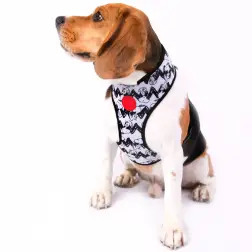 Colete Peitoral Snoopy branco/c.b. - Tam. Xs Snoopy #1 - 1040180729