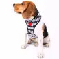 Colete Peitoral Snoopy branco/c.b. - Tam. Xs Snoopy