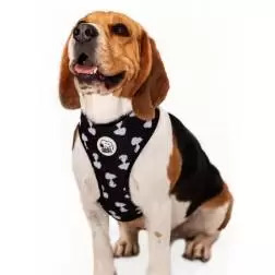 Colete Peitoral Snoopy negativo/c.b. - Tam. Xs Snoopy #1 - 1040180730