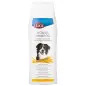 Shampoo De Mel P/ Caes 250 Ml Trixie Shampoo De Mel P/ Caes 250 Ml Trixie