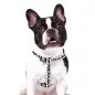 Peitoral Branco Snoopy