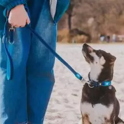 Max & Molly - Trela Multi "matrix Sky Blue" tam.  Max&Molly #1 - 1040220367
