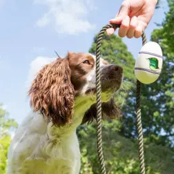 Frexygene - Detergente Anti-bacter. P/ Superfic Pet Cleaning #6 - 1050190009