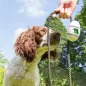 Frexygene - Detergente Anti-bacter. P/ Superfic Pet Cleaning Frexygene - Detergente Anti-bacter. P/ Superfic Pet Cleaning
