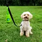 Frexygene - Detergente Anti-bacter. P/ Superfic Pet Cleaning Frexygene - Detergente Anti-bacter. P/ Superfic Pet Cleaning