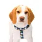 Peitoral Azul/Xadrex Snoopy
