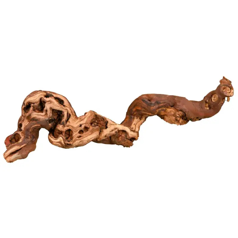 Tronco Decorativo Tratado