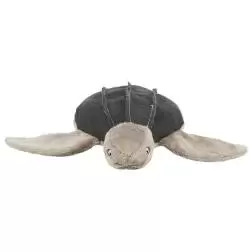 Tartaruga "be Noridc" Em Tecido/pelucia - 34 Cm Trixie - 1040061200