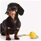 Beco Slinger Ball Amarelo BecoPets Beco Slinger Ball Amarelo BecoPets