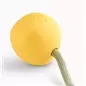 Beco Slinger Ball Amarelo BecoPets Beco Slinger Ball Amarelo BecoPets