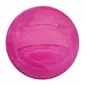 Aqua Toy - Bola Em Borracha Tpr flutuante - Ø 6 Cm Trixie
