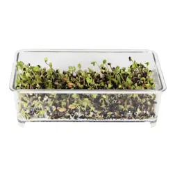 Comedouro P/ Germinado Retangular emb. C/ 10 Diversas #1 - 1040090723