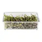 Comedouro P/ Germinado Retangular emb. C/ 10 Diversas Comedouro P/ Germinado Retangular emb. C/ 10 Diversas