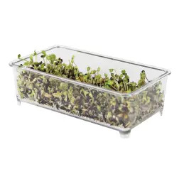 Comedouro P/ Germinado Retangular emb. C/ 10 Diversas #2 - 1040090723