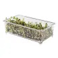 Comedouro P/ Germinado Retangular emb. C/ 10 Diversas Comedouro P/ Germinado Retangular emb. C/ 10 Diversas