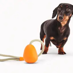 Beco Slinger Pebble Laranja BecoPets - 1040061435