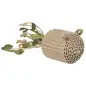 Rato Em Cartao/corda De Canhamo C/ Sino - 12 Cm Trixie