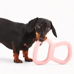 Beco Tough Tugger Rosa BecoPets #1 - 1040061440