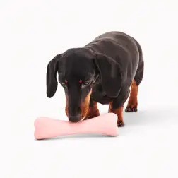 Beco Treat Bone Rosa BecoPets - 1040061442