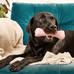 Beco Treat Bone Rosa BecoPets #3 - 1040061442